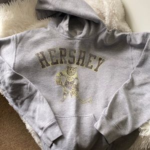 Hershey Bears Hoodie Adult Small